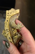 IMG_20171109_175210.jpg