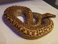20171107_101507.jpg