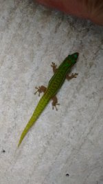 IMG_20171205_214153929.jpg