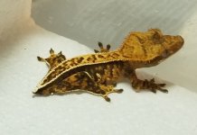 20180429_032108.jpg