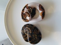 20171008_162537.jpg