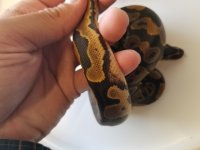 20171008_162601.jpg