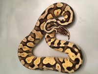 IMG_8590.jpg