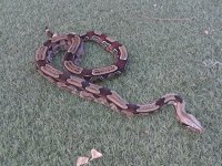 20180510_064020.jpg