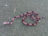 20180510_064028.jpg