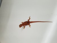 20171030_143902.jpg