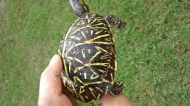 20171014_093114.jpg