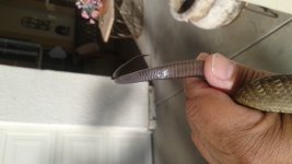 20171030_162427.jpg