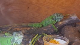 20171001_130004.jpg