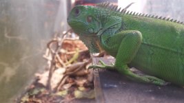 20161020_180929.jpg
