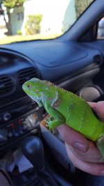 20160405_103951.jpg