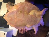 IMG_0863.jpg