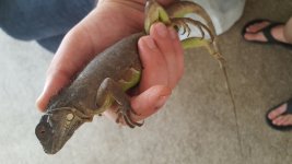 20171004_174353.jpg