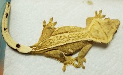 20180408_211725.jpg