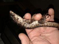 20180428_032004.jpg