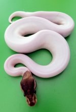 20180108_090555.jpg