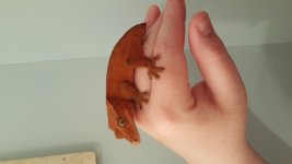 20180329_203837.jpg
