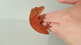 20180329_203926.jpg