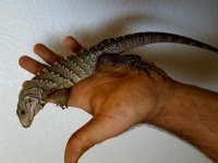 20180613_113638.jpg