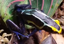 20180427_154914.jpg