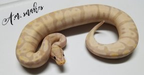 pastel super banana.jpg