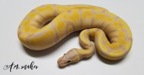 super banana.jpg