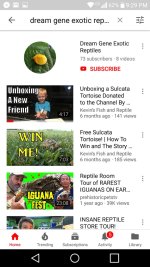 Screenshot_2018-06-13-21-29-10.jpg