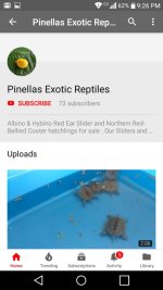 Screenshot_2018-06-13-21-26-42.jpg