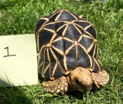 IMG_3080.jpg