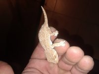 20180312_231740.jpg