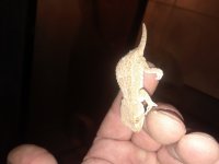 20180312_231751.jpg