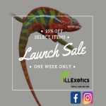 launch sale.png
