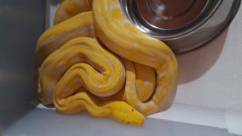 20170820_135333.jpg