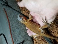 20171013_193618.jpg