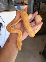 rsz_img_0449.jpg