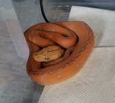 20180614_101131.jpg