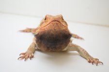 E2BF0297-AD70-42ED-B5B3-70EE7315B0C8.jpg