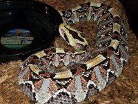 20180222_064906.jpg