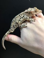 qqq.jpg