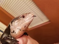 20171014_183039.jpg