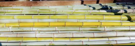 bamboo-trailer02-21-18a.jpg