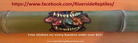bamboosticker2.jpg