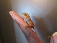 IMG_9633.JPG