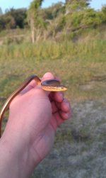 IMAG0656.jpg