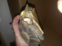20180313_034357.jpg