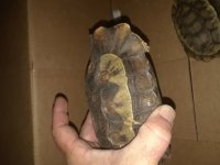 20180313_034348.jpg