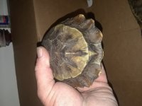 20180313_034406.jpg