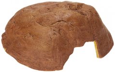 EXO TERRA CAVE XL.jpg
