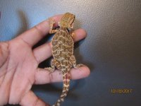 IMG_9619.JPG