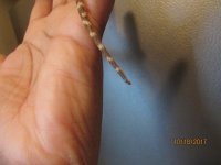 IMG_9623.JPG